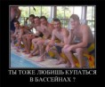 /album/fotogalereya/a61f1454c81ba-jpg/