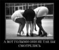 /album/fotogalereya/a72fe4744d364-jpg/