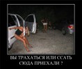 /album/fotogalereya/a77c0717add84-jpg/