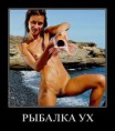 /album/fotogalereya/a79d80f0020c7-jpg/