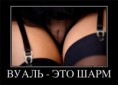 /album/fotogalereya/a94fee0d256d3-jpg/