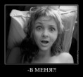 /album/fotogalereya/a228cb6317c5a-jpg/