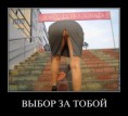 /album/fotogalereya/a9gaof311jwxh-jpg/