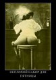 /album/fotogalereya/a76a1e8e49feb-jpg/