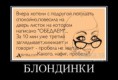 /album/fotogalereya/a383fce0dbd68-jpg/