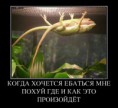 /album/fotogalereya/a87095aeca577-jpg/