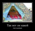 /album/fotogalereya/a1376748310-12-jpg/