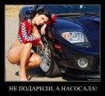 /album/fotogalereya/a338vaqedfui7-jpg/